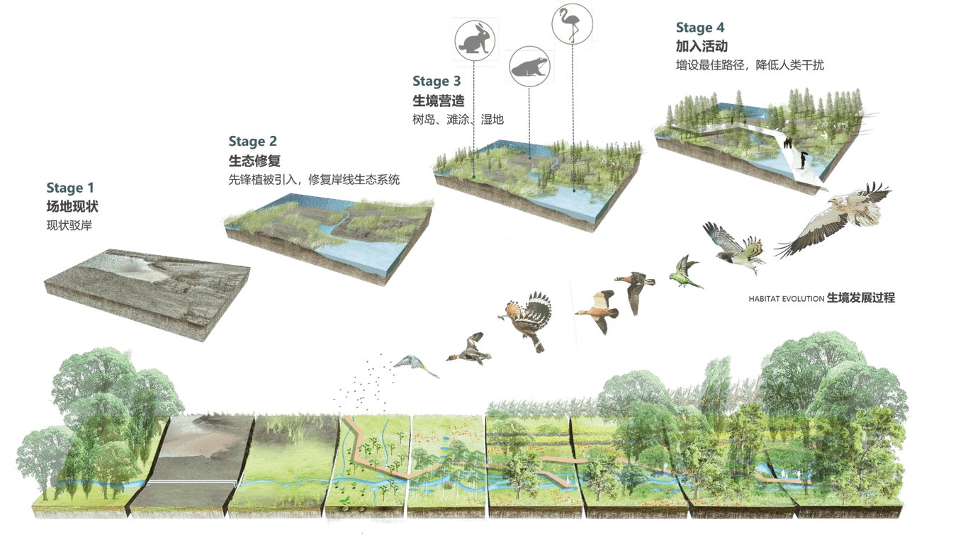Baiyun Lake By Chapman Taylor S4 2