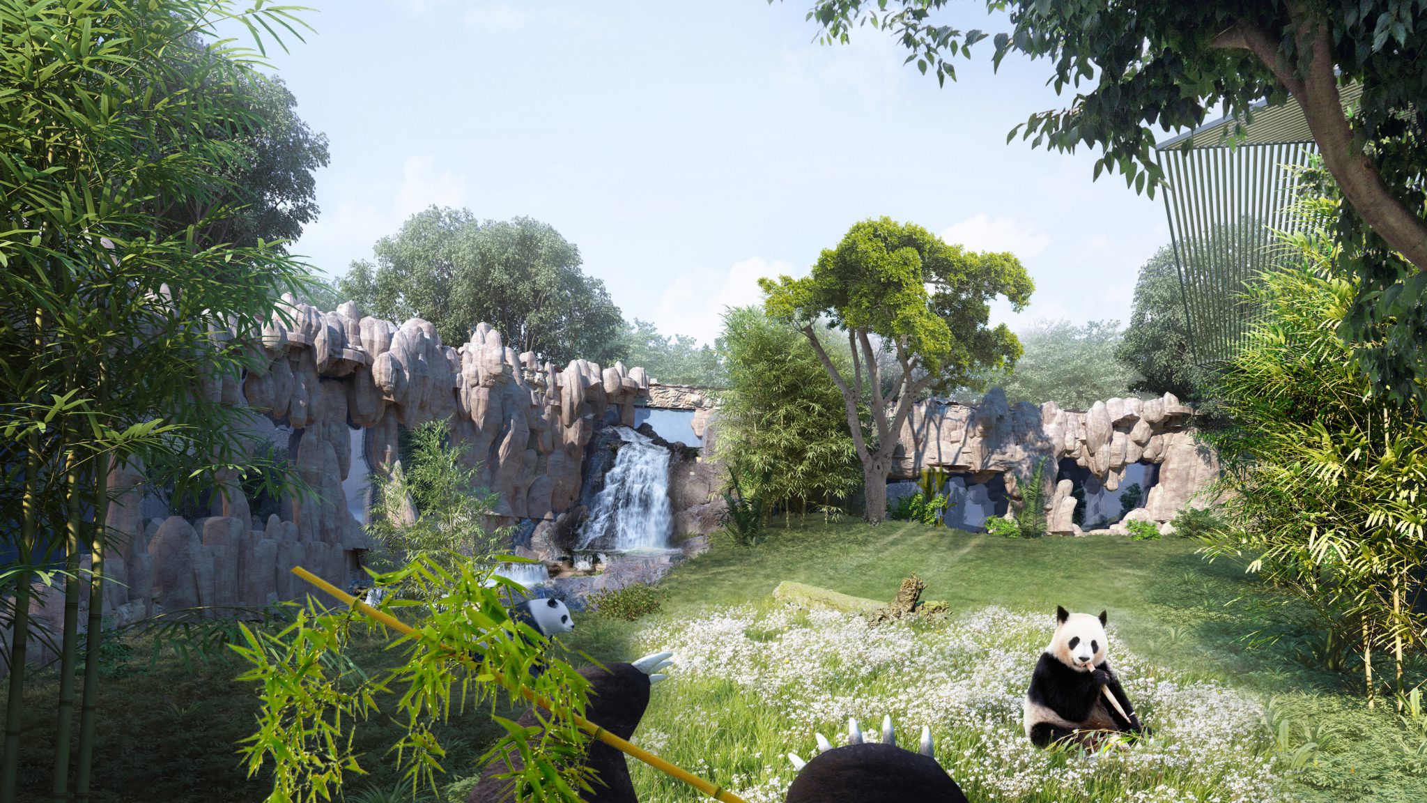 Giant Panda Zoo Habitat National Zoo's Panda Exhibit Is Getting A