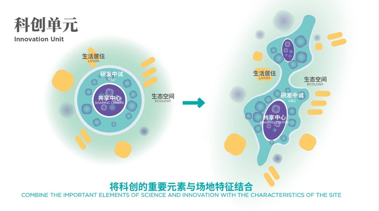 Liangjiang Insight Paper